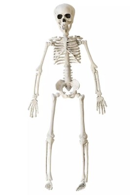 Beysüs Cadılar Bayramı Halloween İskelet Şekil Alabilen 40 cm - 1
