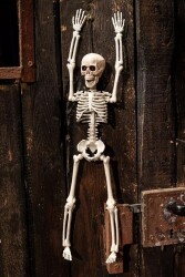 Beysüs Cadılar Bayramı Halloween İskelet Şekil Alabilen 40 cm - 3