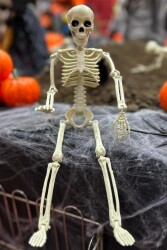 Beysüs Cadılar Bayramı Halloween İskelet Şekil Alabilen 40 cm - 5
