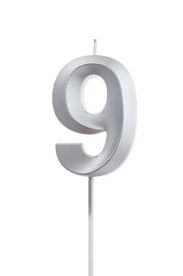 Beysüs Gümüş Rengi 9 Rakam Pasta Mumu - 1