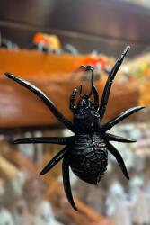 Beysüs Halloween Cadılar Bayramı Işıklı Örümcek Siyah - Beysüs