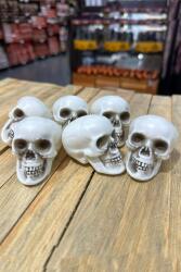 Beysüs Halloween Cadılar Bayramı Kuru Kafa 6 lı Beyaz - Beysüs