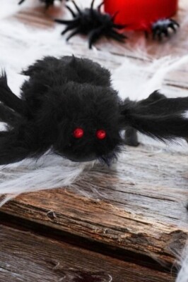 Beysüs Halloween Cadılar Bayramı Örümcek Tüylü 40 cm - 5