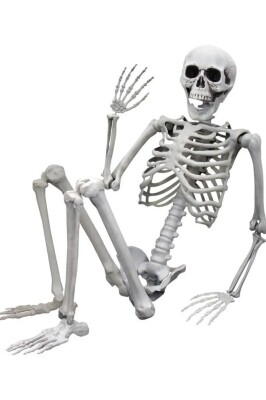 Beysüs Halloween İskelet Büyük Şekil Alabilen 170 cm - 1