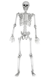 Beysüs Halloween İskelet Büyük Şekil Alabilen 170 cm - 2