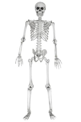 Beysüs Halloween İskelet Büyük Şekil Alabilen 170 cm - 2