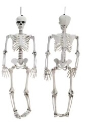 Beysüs Halloween İskelet Şekil Alabilen 90 cm - 3