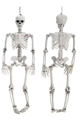 Beysüs Halloween İskelet Şekil Alabilen 90 cm - 3