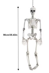 Beysüs Halloween İskelet Şekil Alabilen 90 cm - 4
