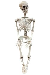 Beysüs Halloween İskelet Şekil Alabilen 90 cm - 5