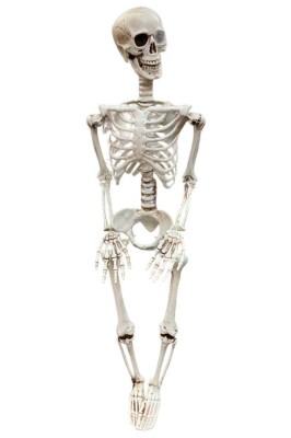 Beysüs Halloween İskelet Şekil Alabilen 90 cm - 5
