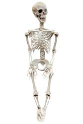 Beysüs Halloween İskelet Şekil Alabilen 90 cm - Beysüs