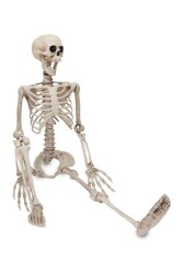 Beysüs Halloween İskelet Şekil Alabilen 90 cm - Beysüs