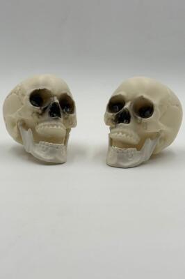 Beysüs Halloween Kuru Kafa İkili Beyaz - 1