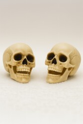 Beysüs Halloween Kuru Kafa İkili Beyaz - Beysüs
