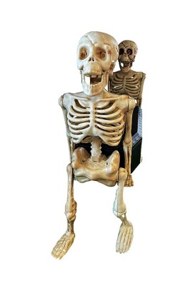 Beysüs Halloween Tabut Taşıyan 2 li İskelet Hareketli Sesli - 4