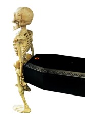 Beysüs Halloween Tabut Taşıyan 2 li İskelet Hareketli Sesli - 6