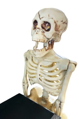 Beysüs Halloween Tabut Taşıyan 2 li İskelet Hareketli Sesli - 7