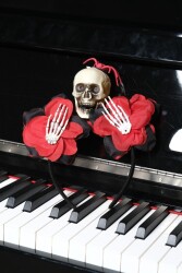 Beysüs Halloween Tac Gül Elli Örümcekli İskelet - 2