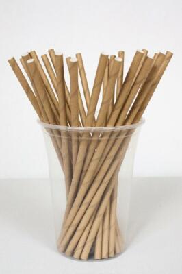 Beysüs Kağıt Pipet Natürel 22 cm 25li - 1