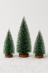 Beysüs Mini Masa Çamı 3 lü Yeşil - Beysüs