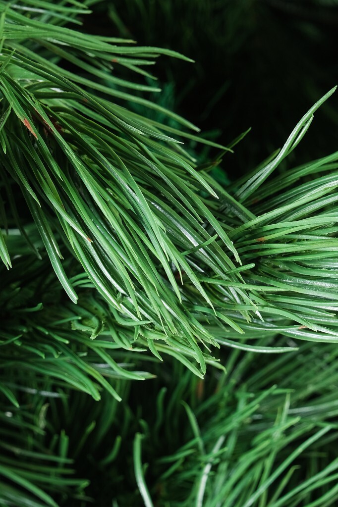 Beysüs Yılbaşı Çam Ağacı Lüks Seri 210 cm 1057 Dal Kalın Dallı Fjoren 422 - 2