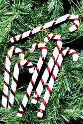 Beysüs Yılbaşı Çam Ağacı Süsü Şeker Çubuğu 6 lı 17 cm - 4