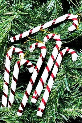 Beysüs Yılbaşı Çam Ağacı Süsü Şeker Çubuğu 6 lı 17 cm - 4