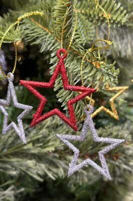 Beysüs Yılbaşı Çam Ağacı Süsü Yıldız Renkli 6 Lı 5 cm - 4